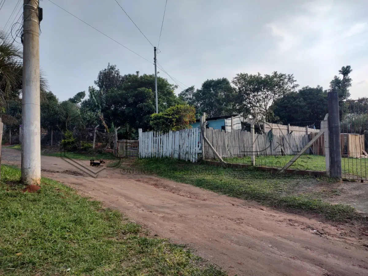 LOTE 019