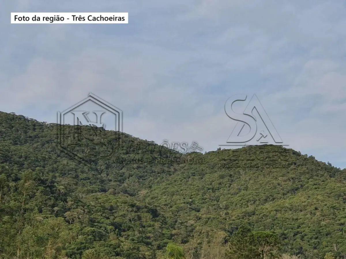 LOTE 019 - ÀREA RURAL EM SANTA CATARINA