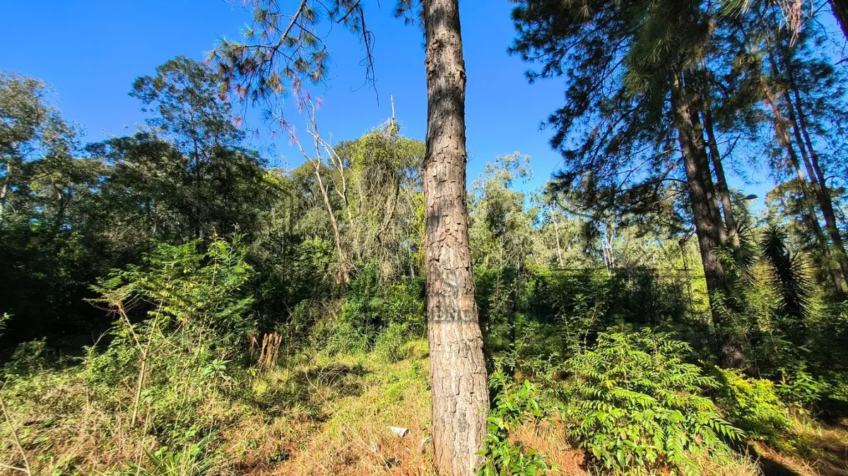 LOTE 011 - [TERCEIRA ETAPA] - Matrícula n° 72.904