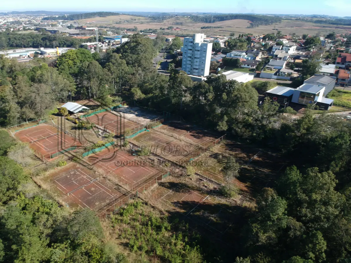 LOTE 009
