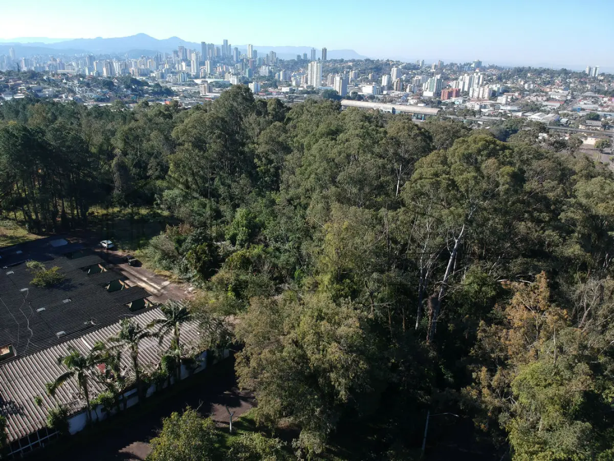 LOTE 007 - [TERCEIRA ETAPA] - Matrícula n° 72.899