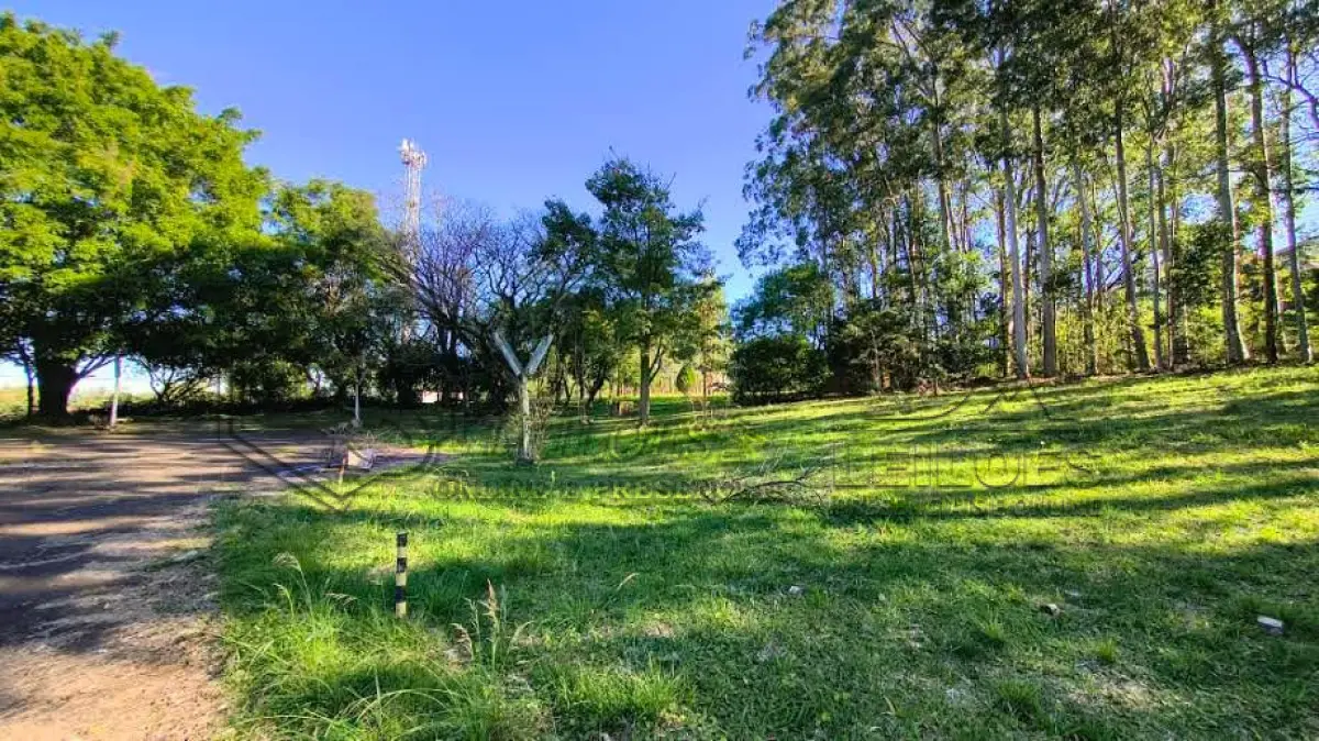 LOTE 001 - [PRIMEIRA ETAPA] - LOTE COM A ÁREA INTEGRAL (10 MATRÍCULAS)