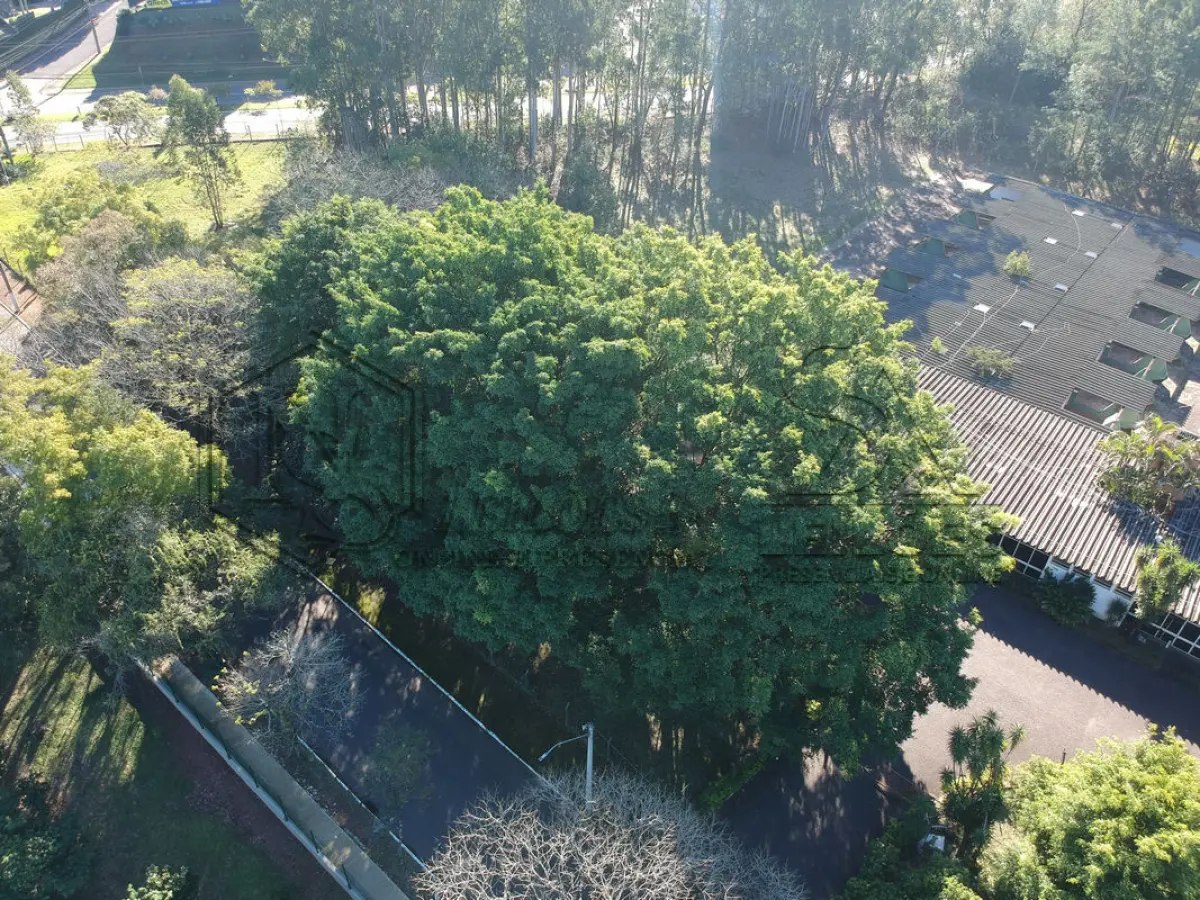 LOTE 001 - [PRIMEIRA ETAPA] - LOTE COM A ÁREA INTEGRAL (10 MATRÍCULAS)