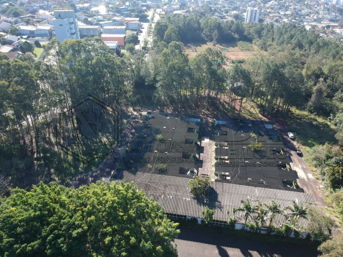 LOTE 001 - [PRIMEIRA ETAPA] - LOTE COM A ÁREA INTEGRAL (10 MATRÍCULAS)