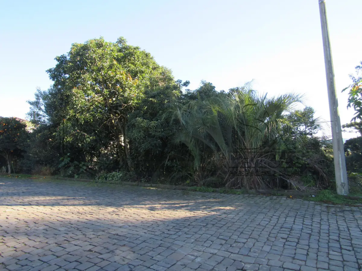 Arvorezinha, RS