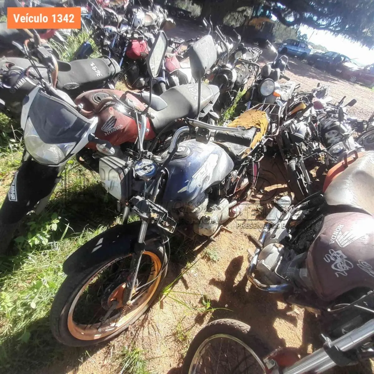 LOTE 0083