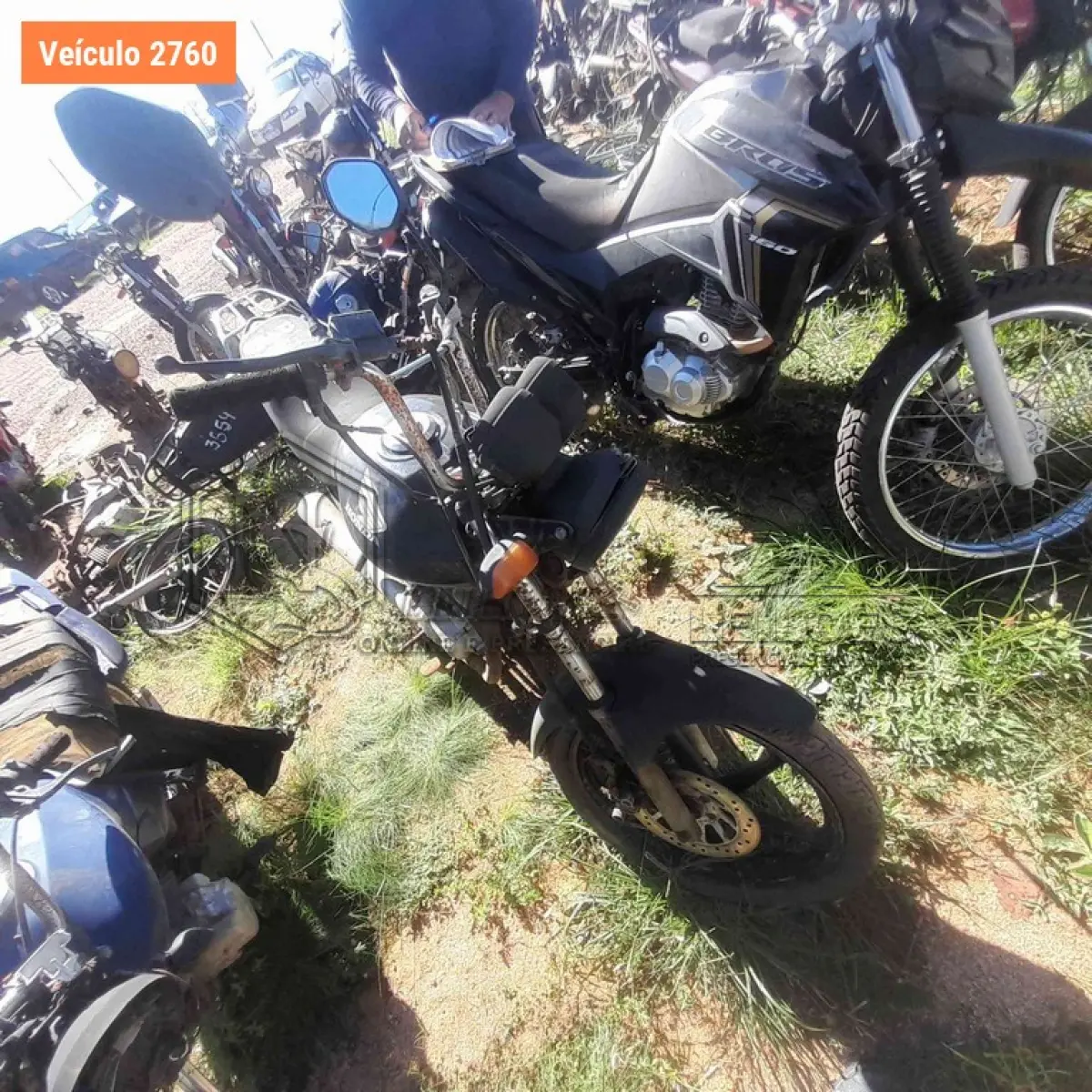 LOTE 0087