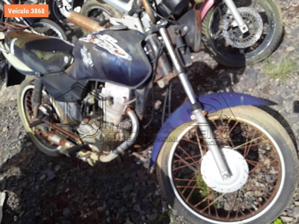 LOTE 0243