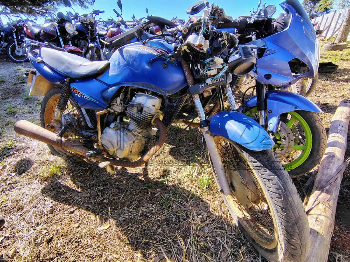 LOTE 0142