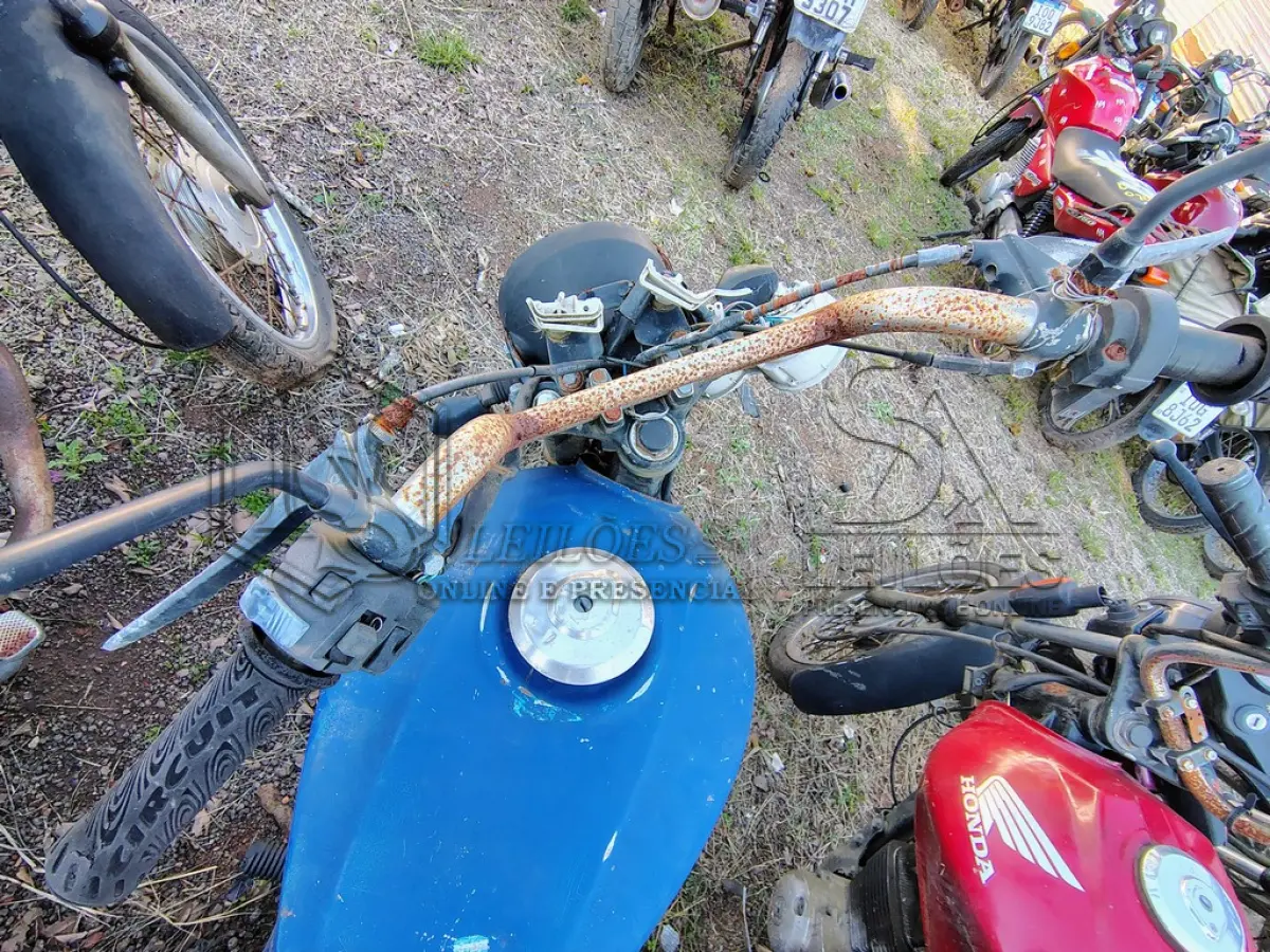LOTE 0137