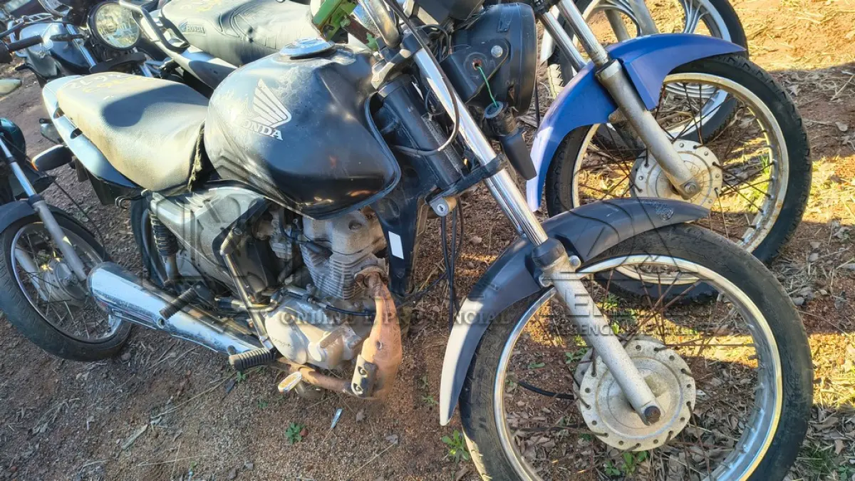LOTE 0163