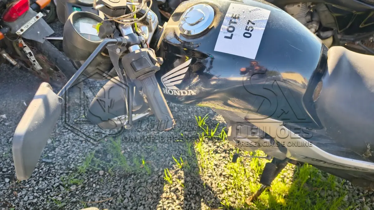 LOTE 0057