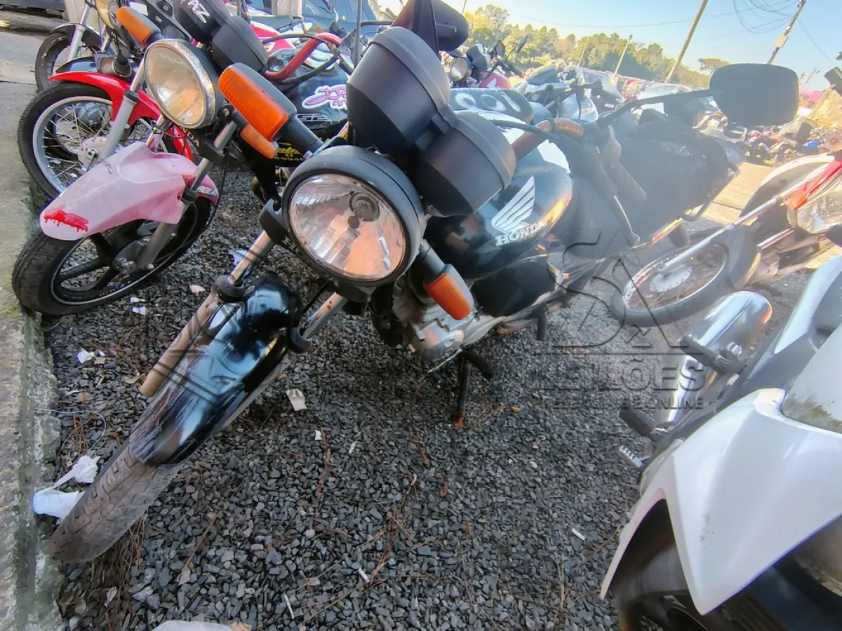 LOTE 0043