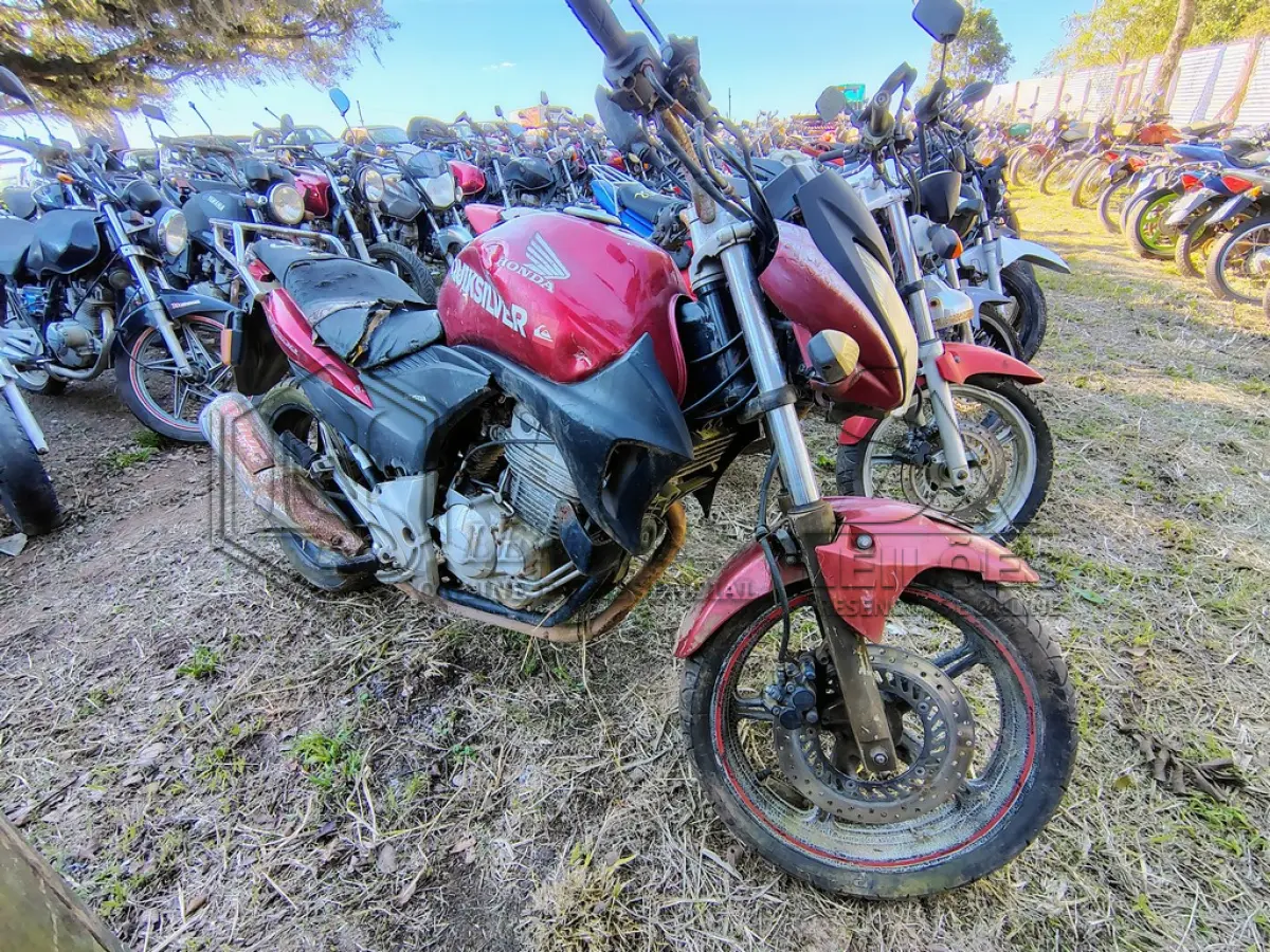 LOTE 0133