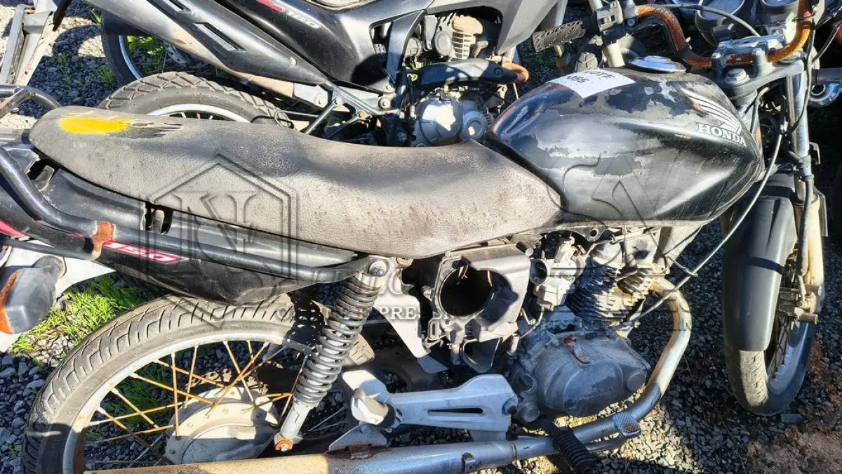 LOTE 0055