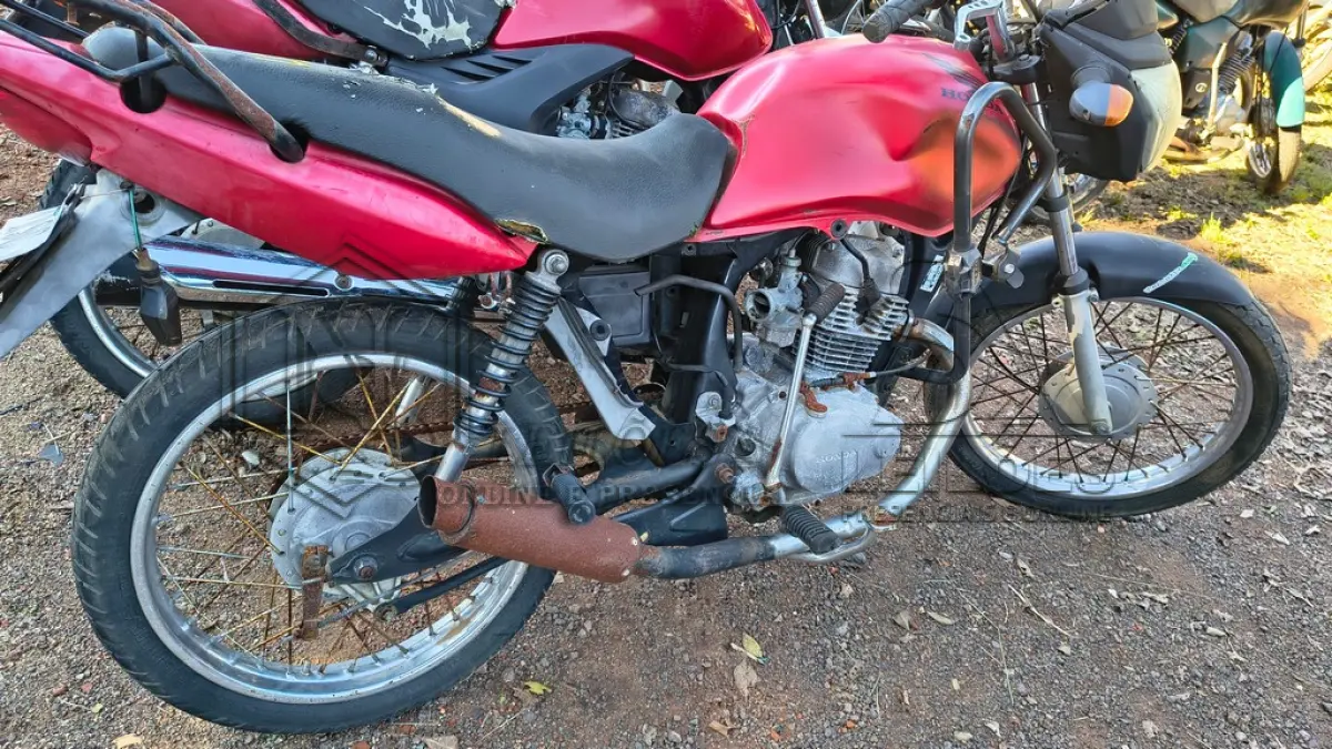 LOTE 0151