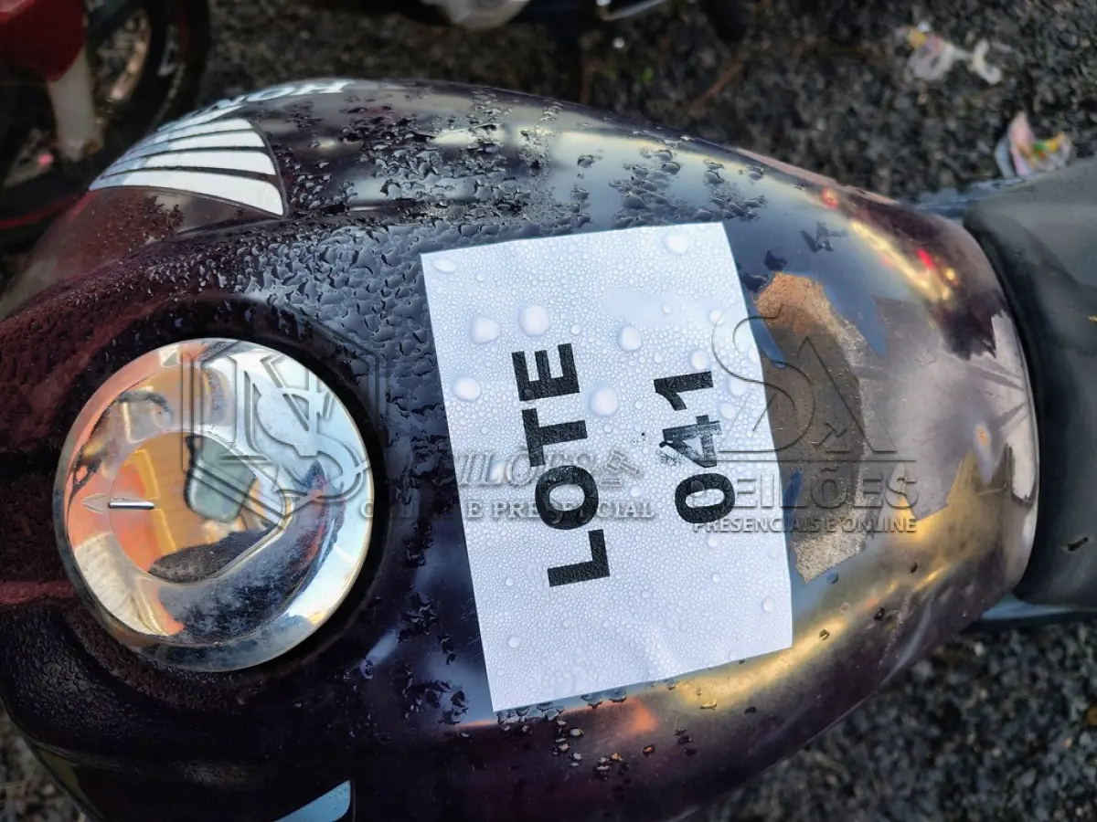 LOTE 0041