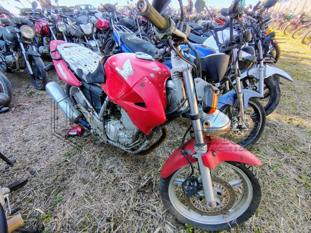 LOTE 0127