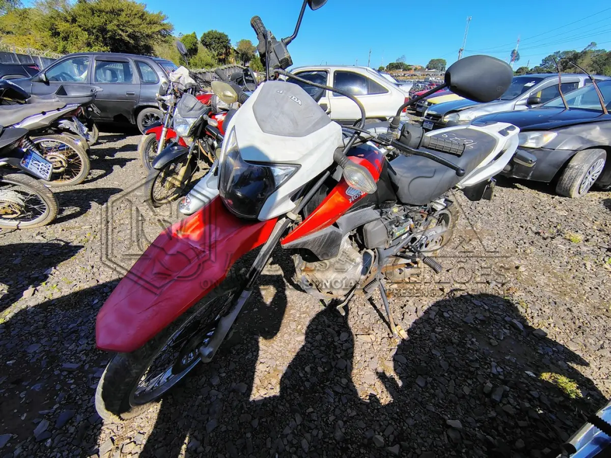 LOTE 0274