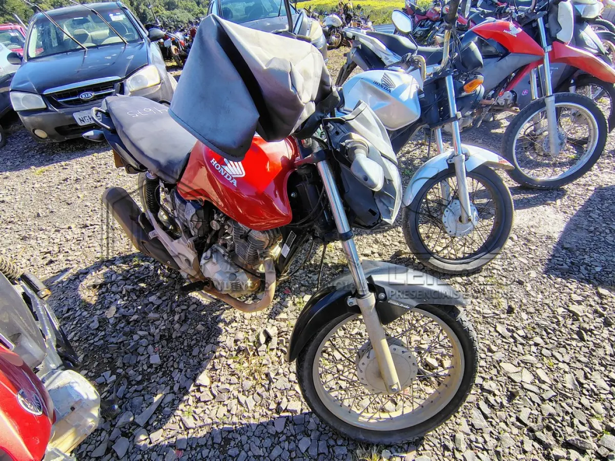 LOTE 0272