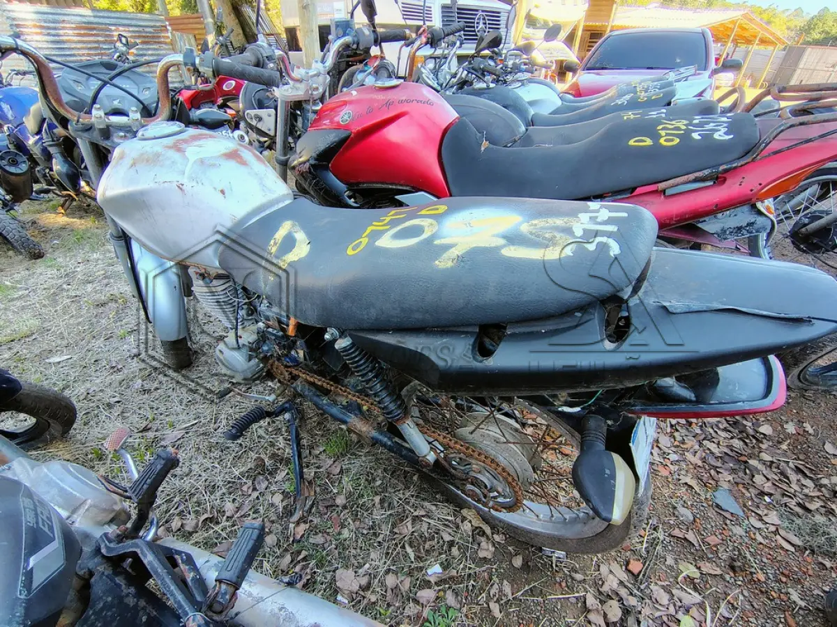LOTE 0141
