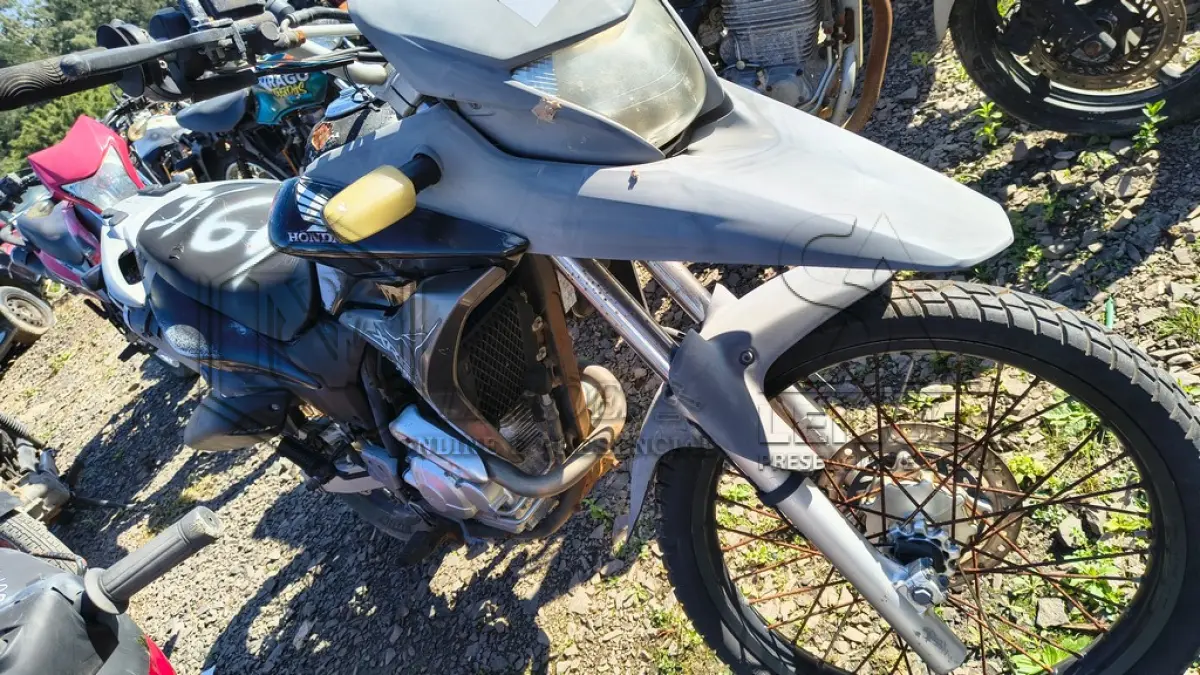 LOTE 0260