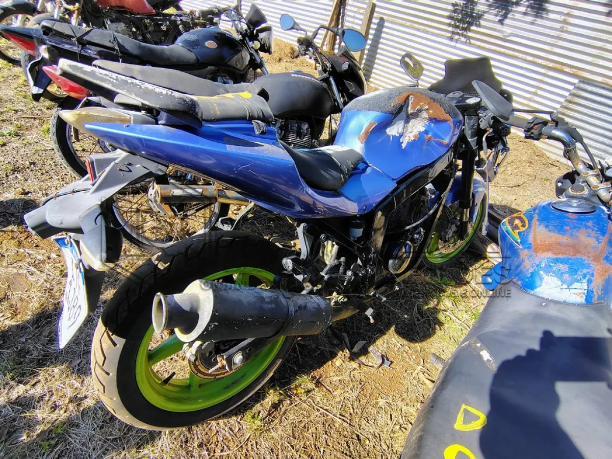 LOTE 0145