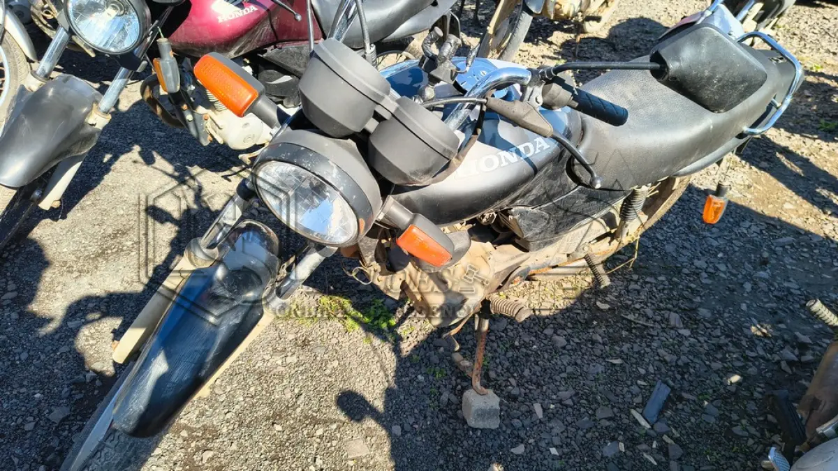 LOTE 0265