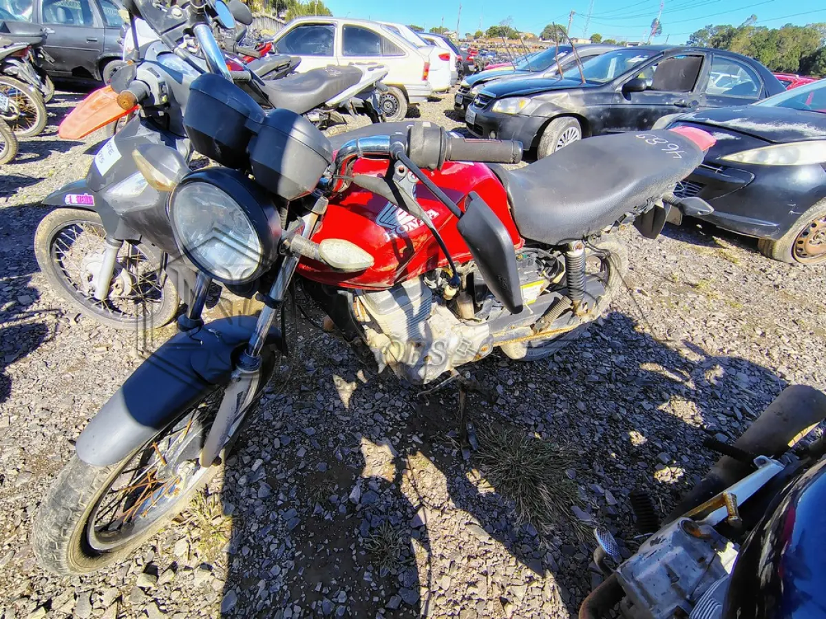 LOTE 0276