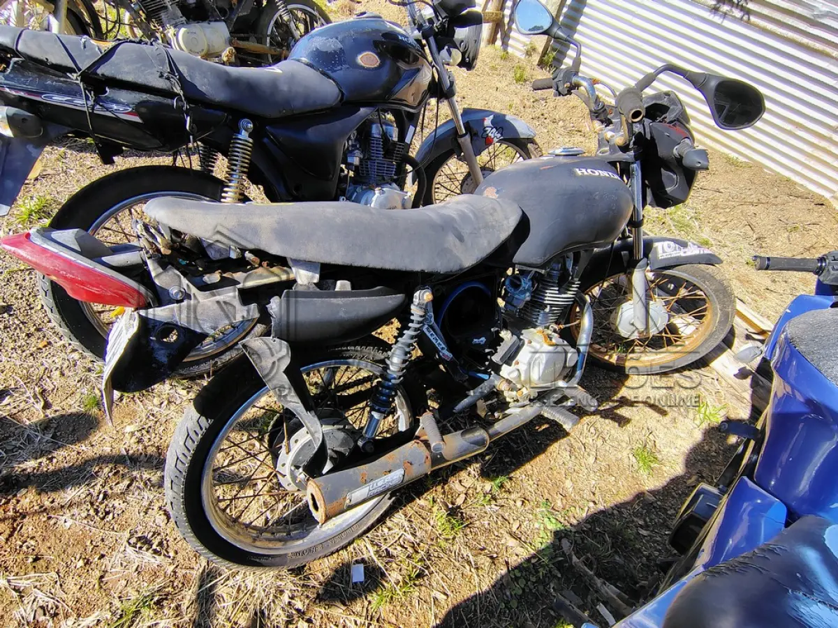 LOTE 0172