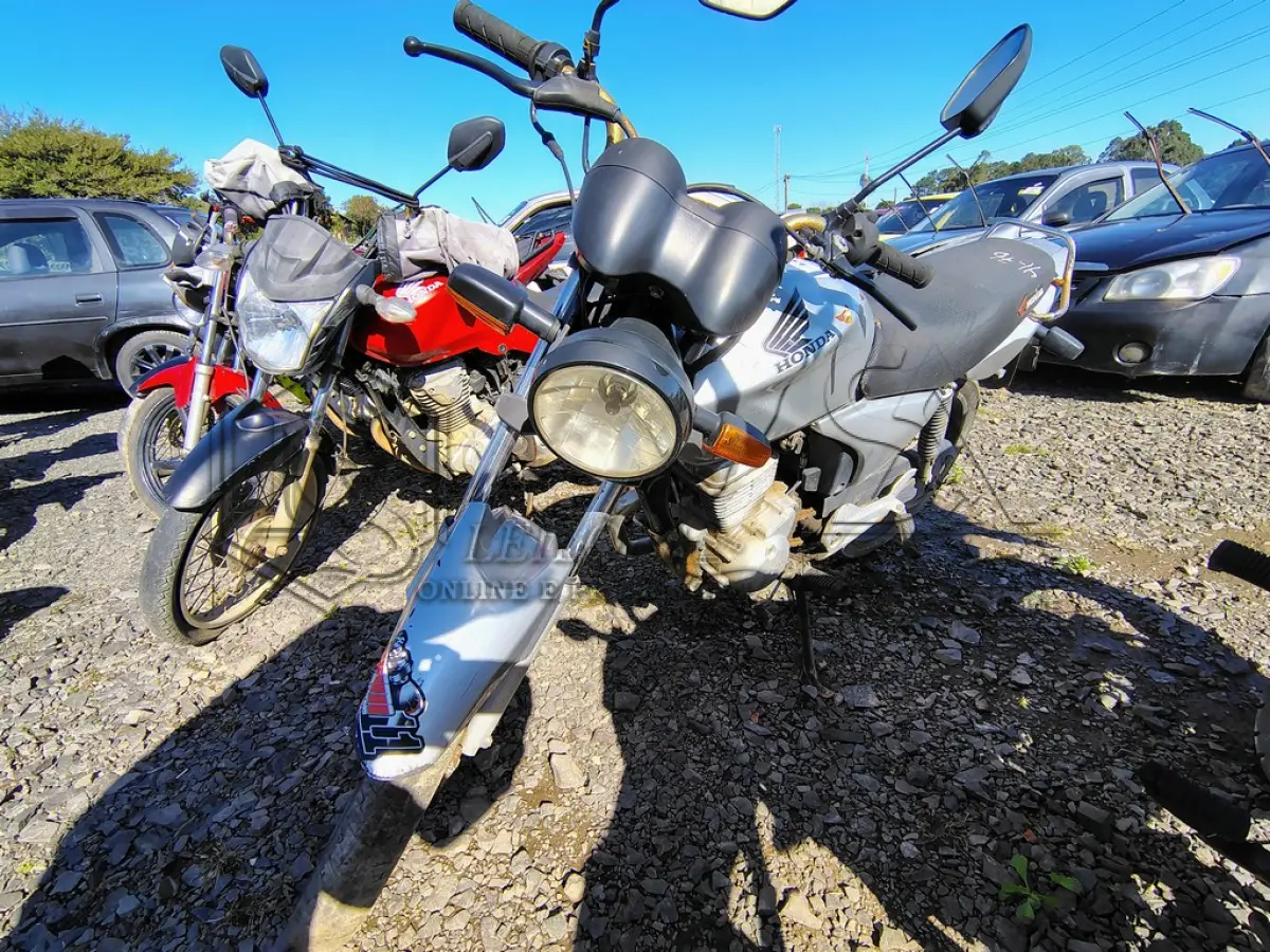 LOTE 0273