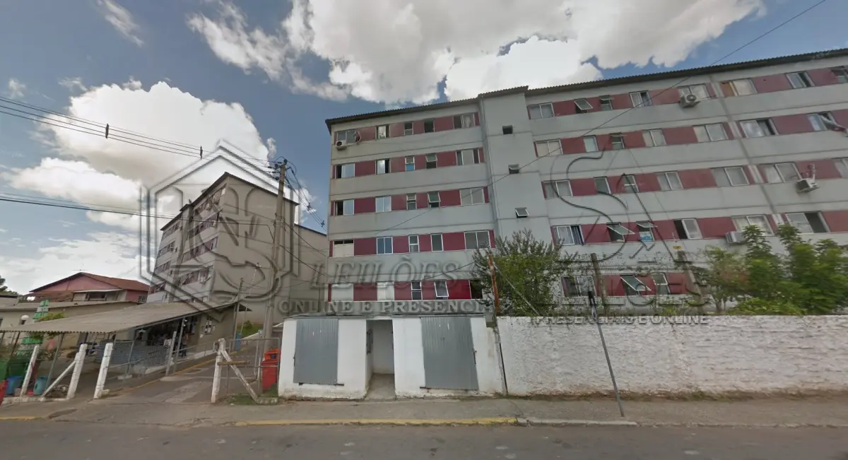 LOTE 007