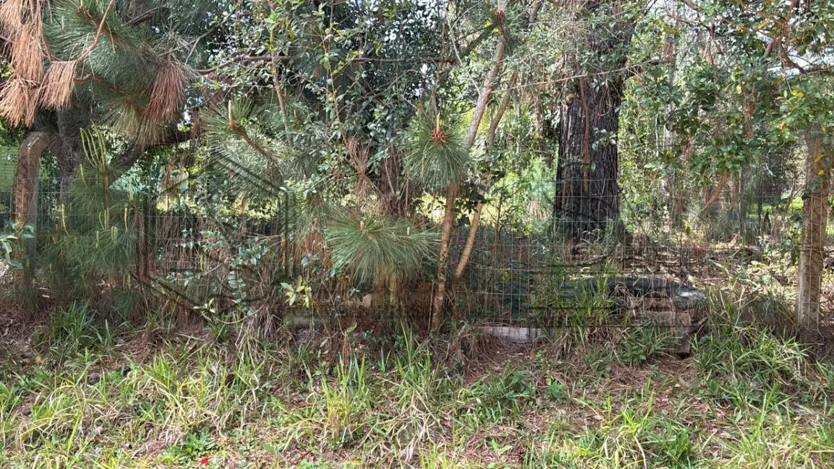 LOTE 004 - Terreno em Viamão/RS