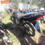 Foto 51
