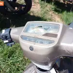 Foto 48