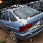 Foto 7