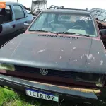 Foto 37