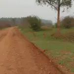 FRAÇÃO DE TERRAS DE 62HA1997,50 EM CACHOEIRA DO SUL/RS