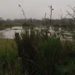 FRAÇÃO DE TERRAS DE 62HA1997,50 EM CACHOEIRA DO SUL/RS