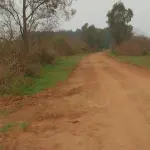 FRAÇÃO DE TERRAS DE 62HA1997,50 EM CACHOEIRA DO SUL/RS
