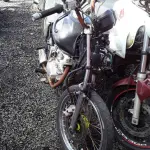 Foto 41