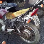 Foto 48