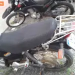 Foto 41