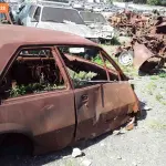 Foto 8