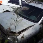 Foto 37