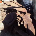 Foto 52