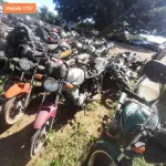 Foto 16