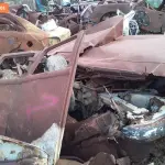 Foto 41