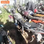Foto 15