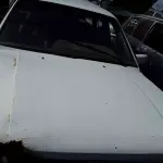 Foto 41